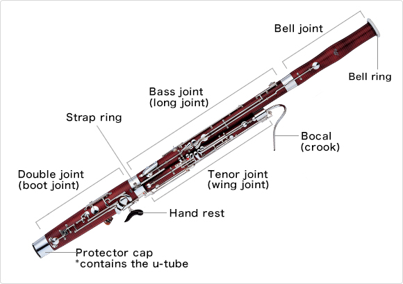 Parts of a bassoon