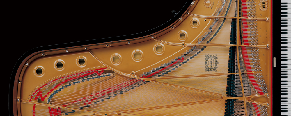 grand piano top view strings