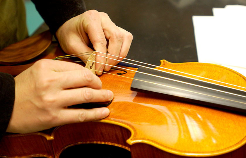 The bridge is installed while stringing the violin.