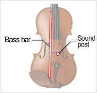The position of the bass bar and the sound post