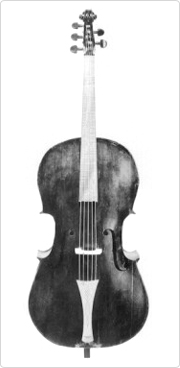 A violone