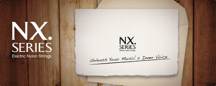 NX Series Flash Banner