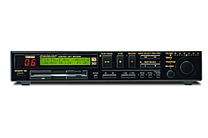 DSR1 Image