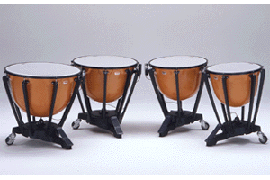 Timpani 4200 Image
