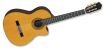 Acoustic Electrics