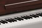 YDPS30