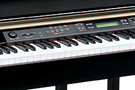 CLP-295GP