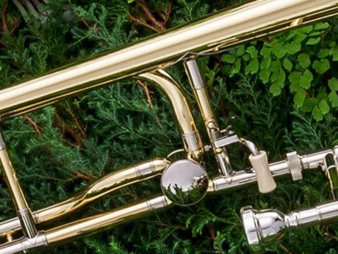 Link to Yamaha's Blog Article Title: How to Lubricate Trombone Slides
