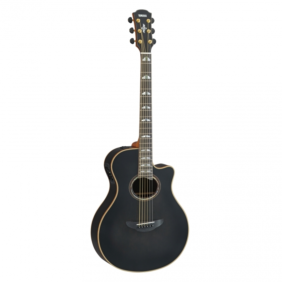 APX1200II - Guitars & Basses - Display collection - INNOVATION