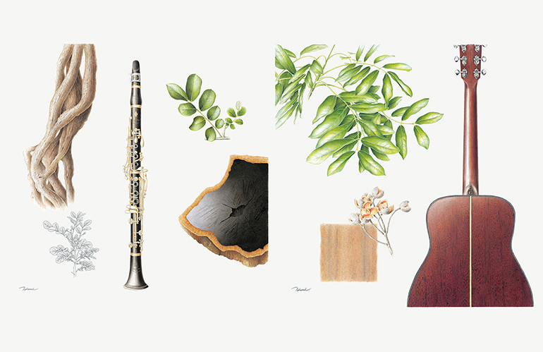 [Image] Hiromi Kaede