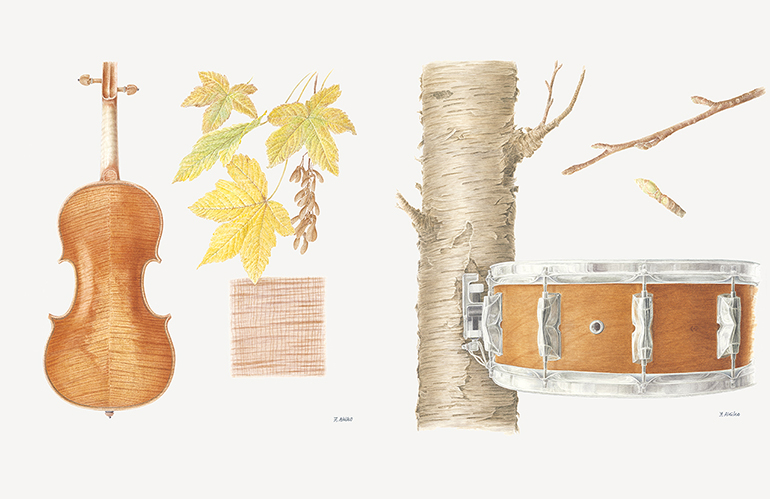 [Image] Akiko Fujiwara