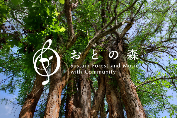 [Image] Otonomori (Forest of sound) Activities