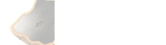 [Image] African blackwood & link to plant community