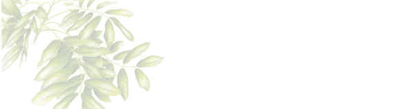 [Image] African mahogany & link to plant community