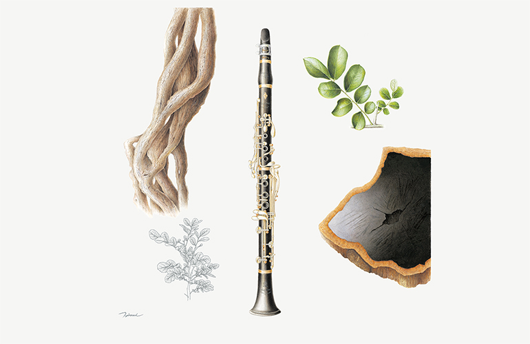 [Image] SE Artist Model (Clarinet)｜African Blackwood