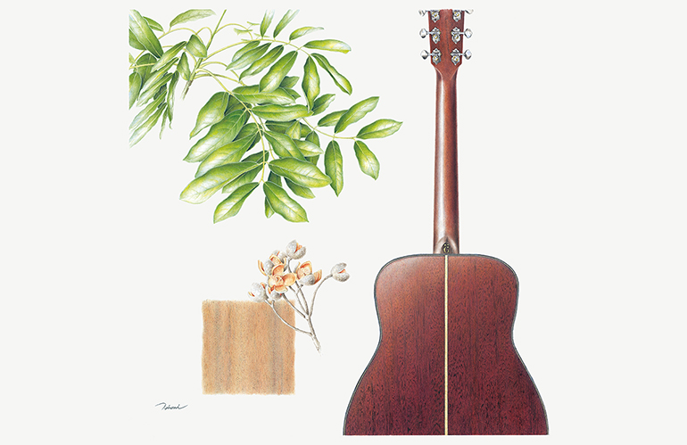 [Image] FG9 M (Acoustic Guitar)｜African Mahogany