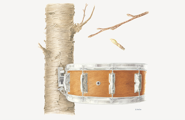 [Image] Recording Custom (Drum)｜Birch