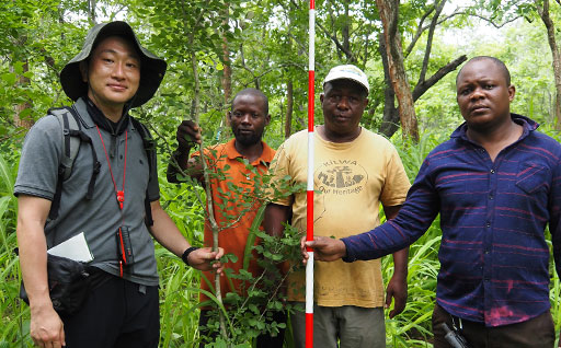 [Photo] Growing sapling at test cultivation site