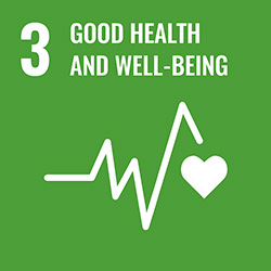 [ icon ] 3 GOOD HEALTH AND WELL-BEING