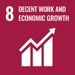 [icon]8. DECENT WORK AND ECONOMIC GROWTH