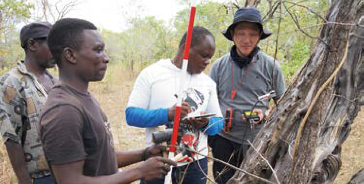 [ Image ] Forest survey in Tanzania