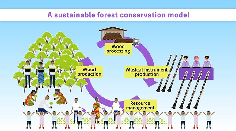 [ Image ] Sustainable Forest Conservation Project in Tanzania