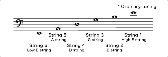 The Structure of the Acoustic Guitar：Six strings, each with a higher pitch  - Musical Instrument Guide - Yamaha Corporation