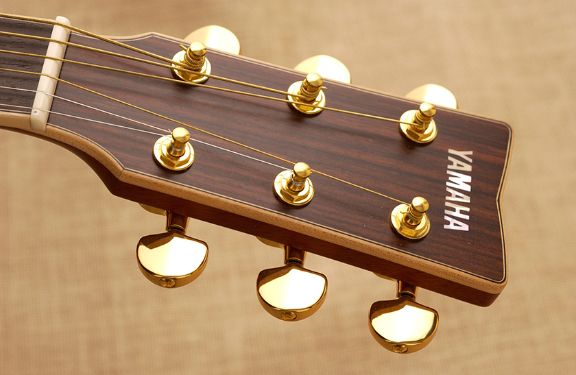 The Structure of the Acoustic Guitar：The rule of strings and pitch -  Musical Instrument Guide - Yamaha Corporation