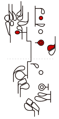 Bassoon Key Chart