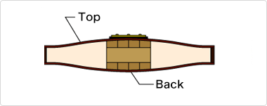 Semi-acoustic guitar cross-section view