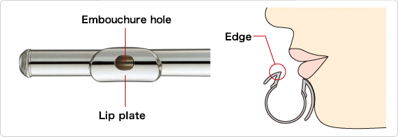 Lip plate and Embouchure hole