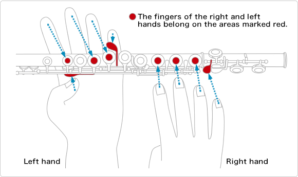 How to Play the Flute:Playing the Flute - Musical ...