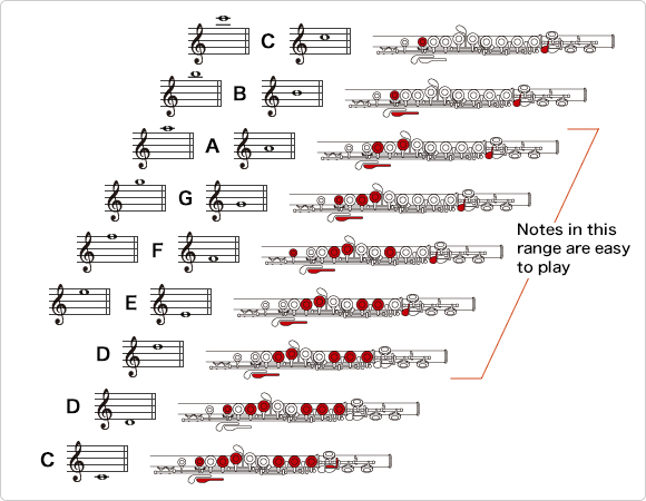 How To Learn Play A Flute - Informationwave17