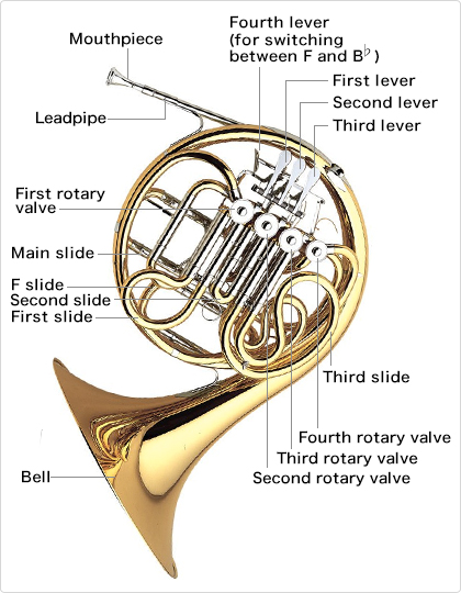 The Structure of the Horn:Learn the parts of the horn - Musical