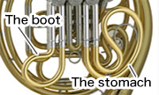 The stomach and the boot