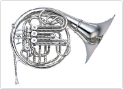 Silver horn
