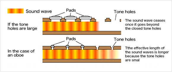 The size of tone holes and sound waves.