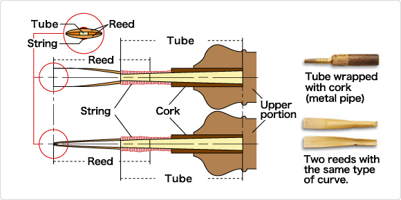 The structure of the double reeds