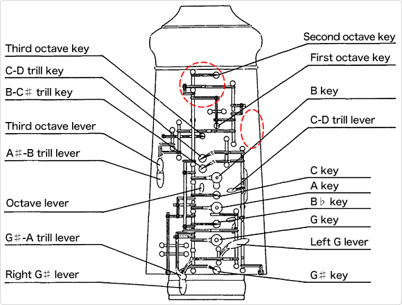 Fully-automatic system