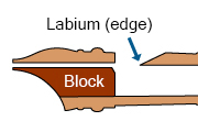 The delicately carved tip of the labium (edge). The corner of the block is also filed. This structure is the same for instruments made of wood or ABS resin.