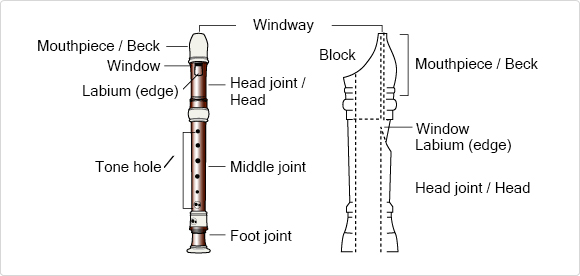 The Structure of the Recorder:Learning the names of its parts - Musical  Instrument Guide - Yamaha Corporation