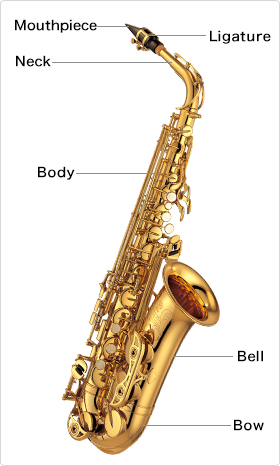 Alto Sax Learn More – Golden Music