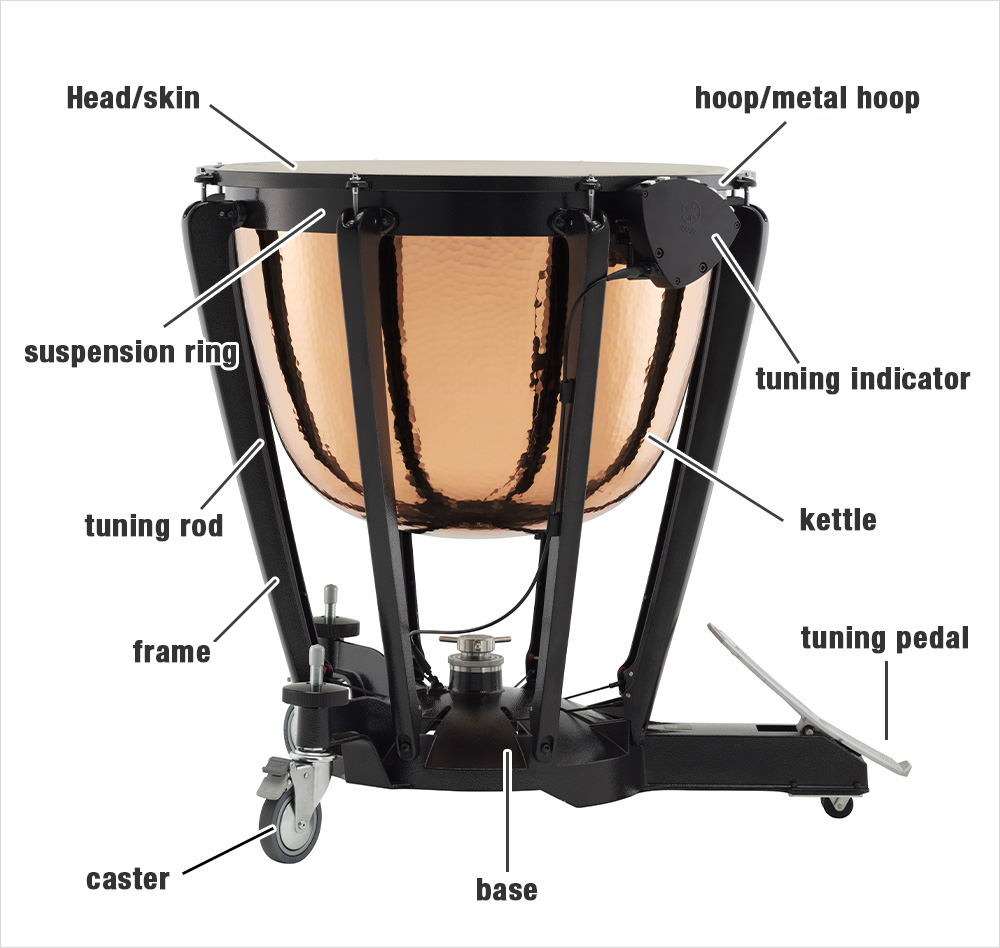 Names of the parts of the timpani
