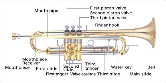 Names of parts/ B-flat trumpet