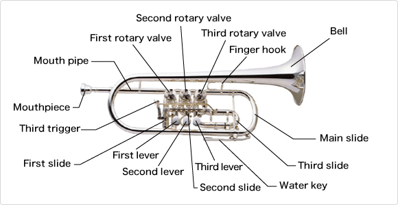 Names of the parts of the rotary-system trumpet