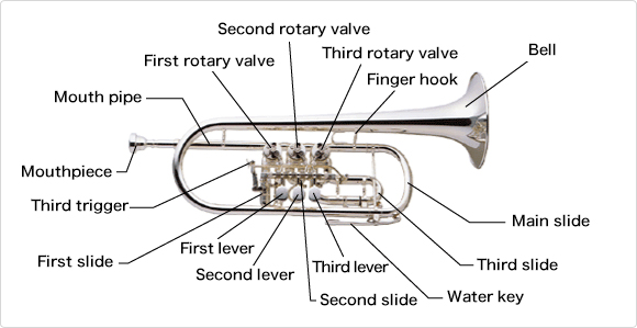 Trumpet Valve Parts Diagram Trumpet Valve Parts Diagram