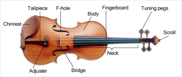 The parts of the violin