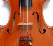 The Structure of the Violin:The structure the strings - Musical Instrument Guide - Yamaha Corporation