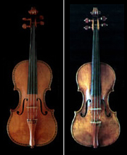 Stradivari (left) and Guarneri (right)