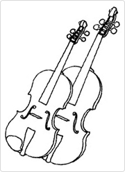 Size comparison between a viola and violin